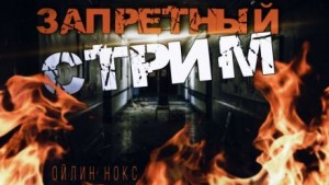 Запретный стрим – аудиокнига