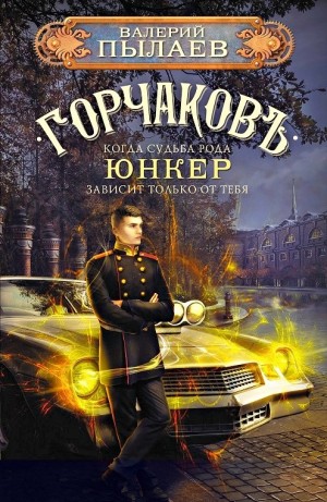 Юнкер – аудиокнига