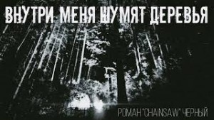 Внутри меня шумят дервья – аудиокнига