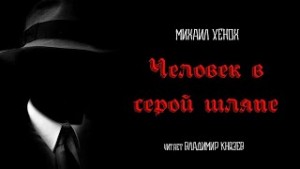 Человек в серой шляпе – аудиокнига
