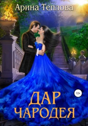 Дар чародея – аудиокнига