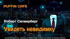 Увидеть невидимку – аудиокнига