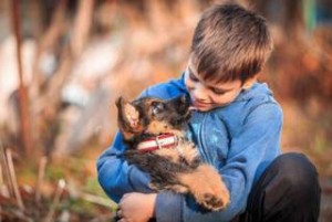 У меня будет собака – аудиокнига