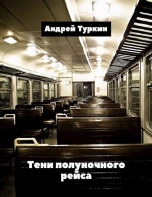 Тени полуночного рейса – аудиокнига