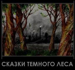 Сказки темного леса – аудиокнига