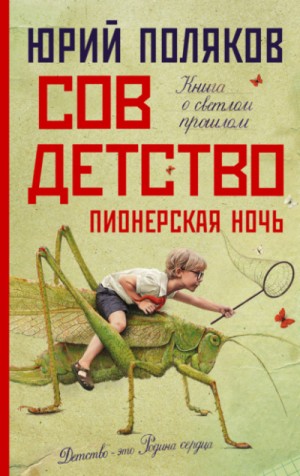 Пионерская ночь – аудиокнига