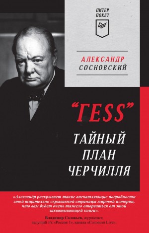 «ГESS».Тайный план Черчилля – аудиокнига