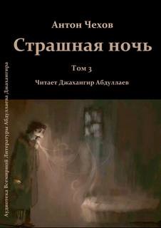 Страшная ночь – аудиокнига