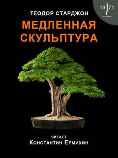 Медленная скульптура – аудиокнига