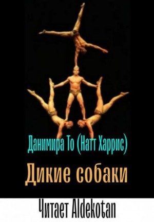 Дикие собаки – аудиокнига