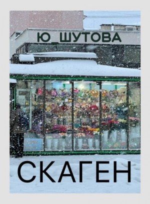 Скаген – аудиокнига