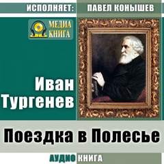 Поездка в Полесье – аудиокнига