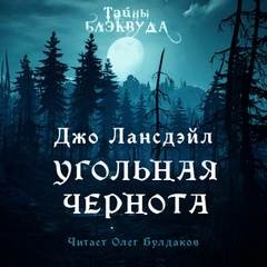 Угольная чернота – аудиокнига