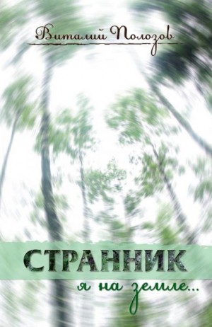Странник я на земле… – аудиокнига