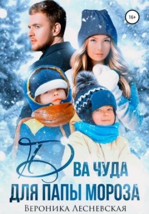 Два чуда для Папы Мороза – аудиокнига