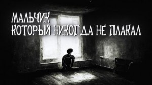 Мальчик, который никогда не плакал – аудиокнига