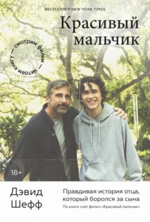 Красивый мальчик. Правдивая история отца, который боролся за сына – аудиокнига