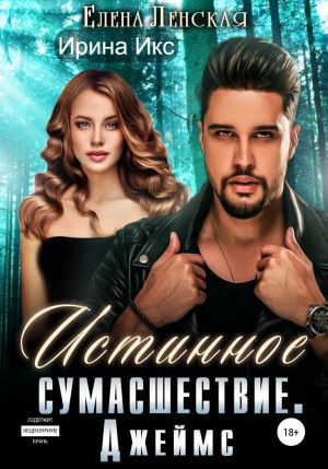 Истинное сумасшествие. Джеймс – аудиокнига