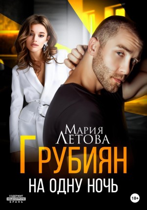 Грубиян на одну ночь – аудиокнига