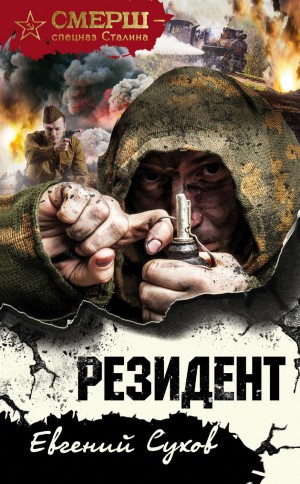 Резидент – аудиокнига