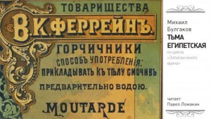 Записки юного врача: 5. Тьма египетская – аудиокнига