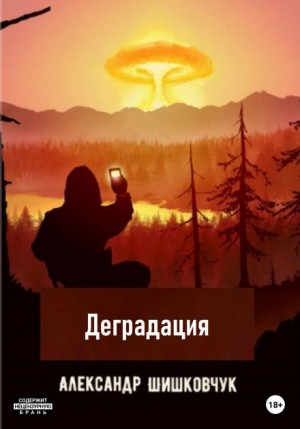 Деградация 2025 – аудиокнига