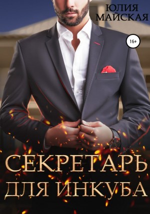 Секретарь для инкуба – аудиокнига