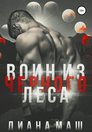 Воин из Черного леса – аудиокнига