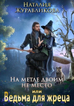 На метле двоим не место, или Ведьма для жреца – аудиокнига