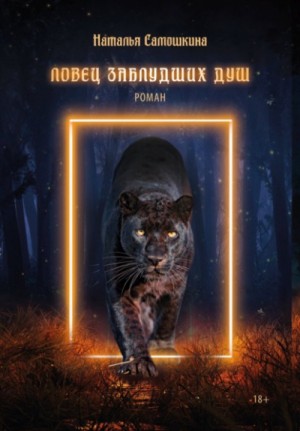 Ловец заблудших душ – аудиокнига
