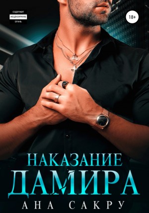 Наказание Дамира – аудиокнига