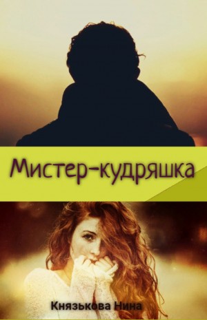 Мистер-кудряшка – аудиокнига
