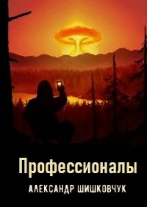 Профессионалы – аудиокнига