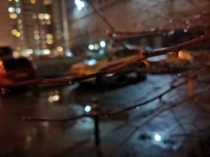 Йад удовольствий – аудиокнига