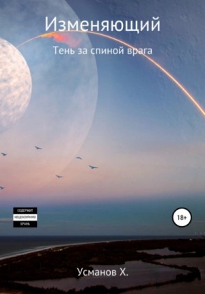 Тень за спиной врага – аудиокнига