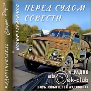 Перед судом совести – аудиокнига