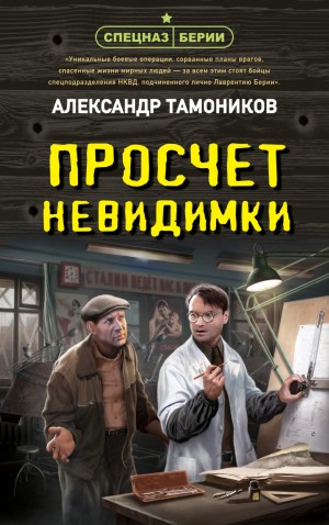 Просчет невидимки – аудиокнига
