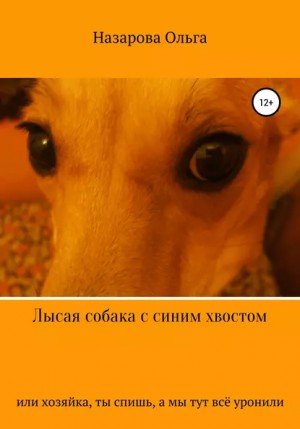 Лысая собака с синим хвостом, или хозяйка, ты спишь, а мы тут всё уронили! – аудиокнига