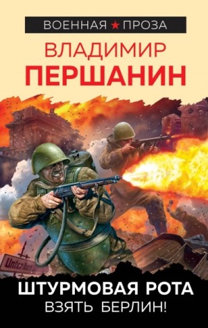 Штурмовая рота – аудиокнига
