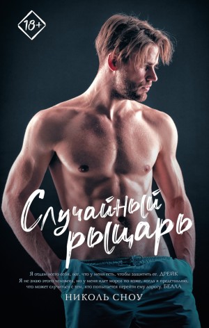 Случайный рыцарь – аудиокнига