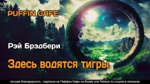 Здесь водятся тигры – аудиокнига