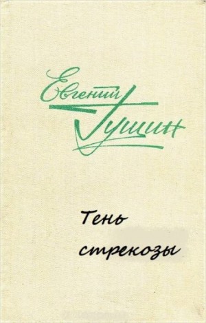 Тень стрекозы