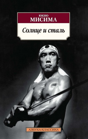 Солнце и сталь – аудиокнига