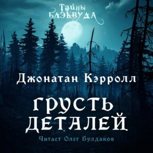 Грусть деталей – аудиокнига