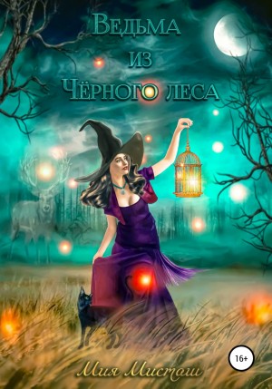 Ведьма из Чёрного леса – аудиокнига