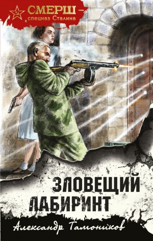 Зловещий лабиринт – аудиокнига