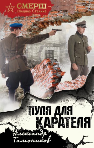 Пуля для карателя – аудиокнига