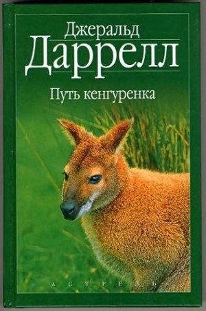 Путь кенгуренка – аудиокнига