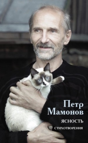 Ясность – аудиокнига