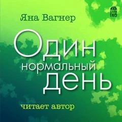 Один нормальный день – аудиокнига